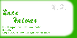 mate halvax business card